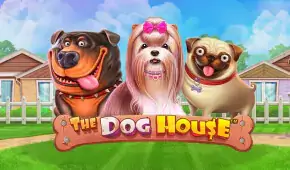 The Dog House™